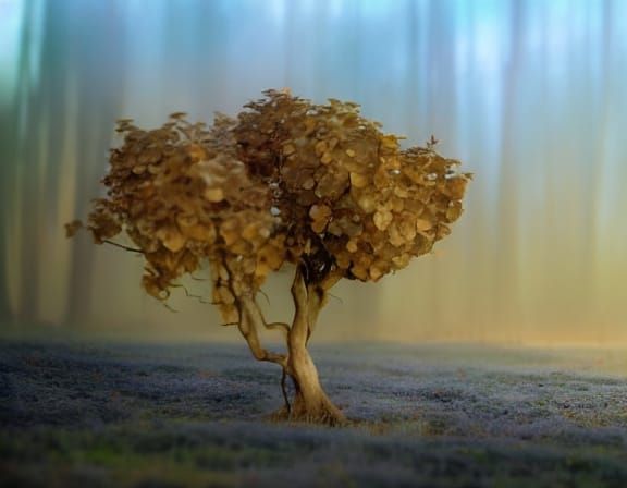 An alonestanding Hydrangea tree analogous colors r volumetric lighting Unreal Engine 5 detailed seascape landscape