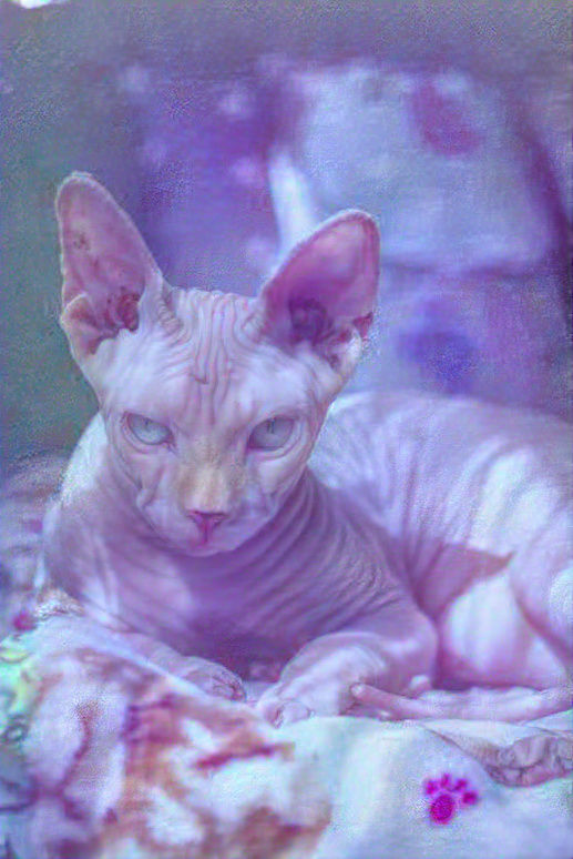 Rosy Dream Feline