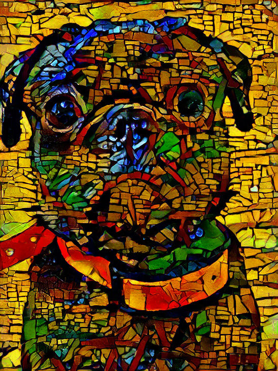 Pug