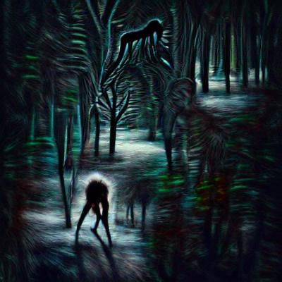 skinwalker in a dark forest