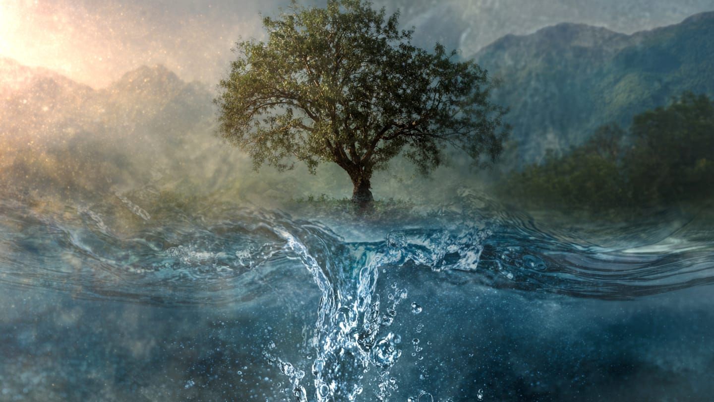 What is negative energy for us is positive energy for something else