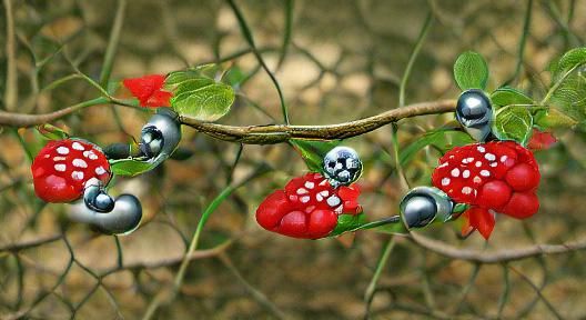 Poisonous berries