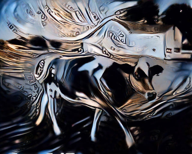 Bessy The Cow #14 www.crypto-casa.com