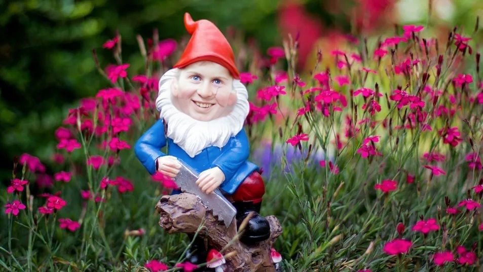a Garden Gnome