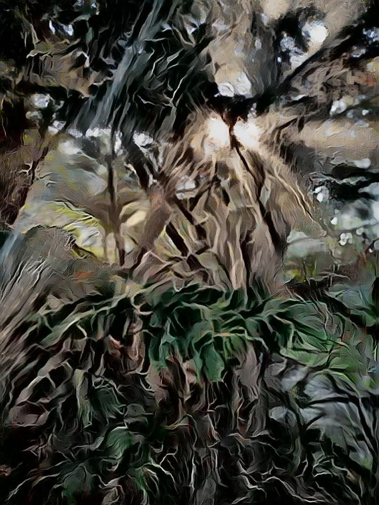 " Light Trees and Black Holes "