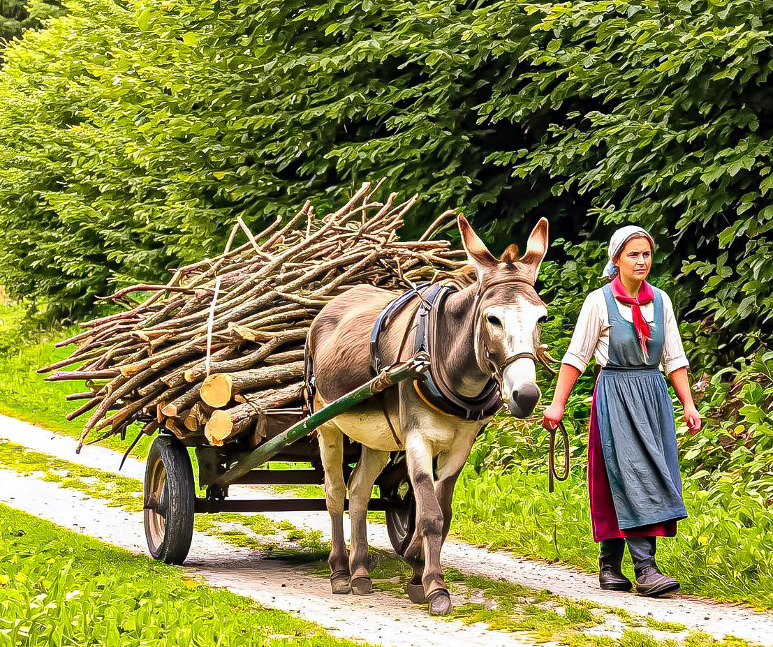 Women and Donkey with Laden Cart