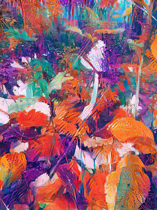 Mushroom