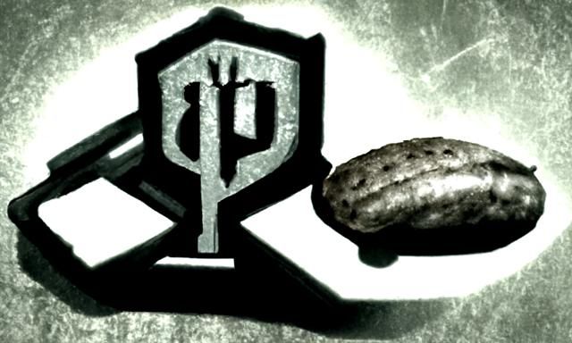 brotherhood of steel peanut chapter