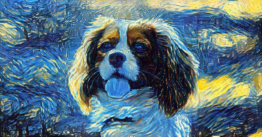 Cavalier Dog