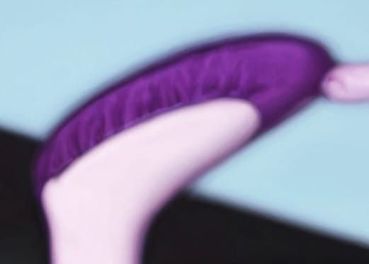 Princess Bubblegum's Purple Flat Shoes (Upside Down)