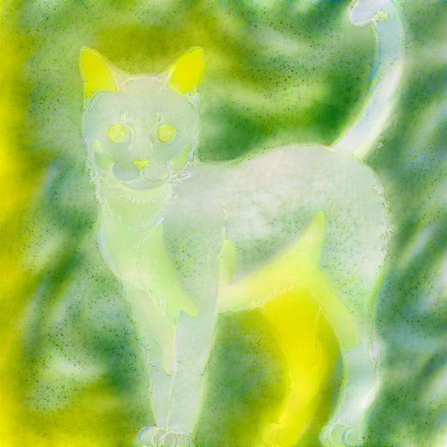 Watercolour Catto