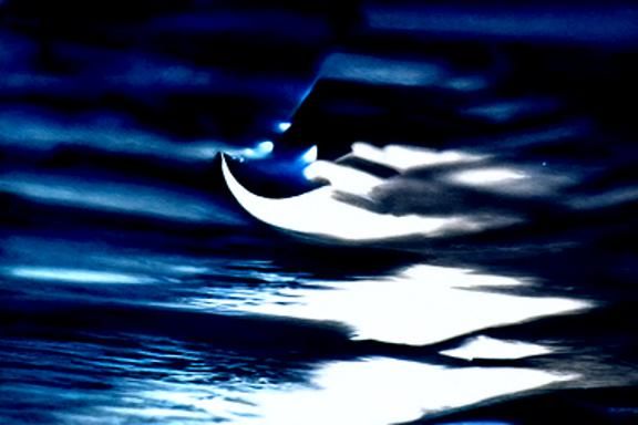Moonlight sonata