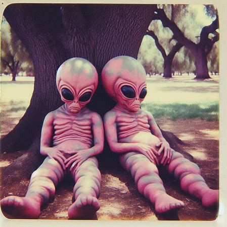 A sign of true friendship is not being upset by long periods of silence.