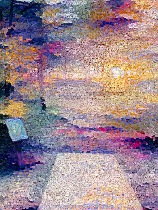 Disc golf Hole number 8 sunset