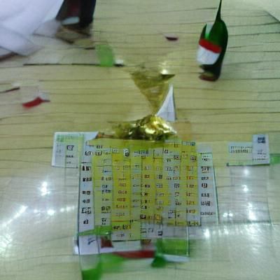 The Winner