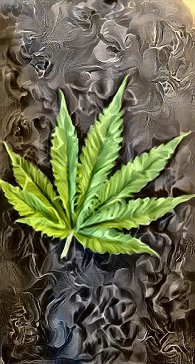 Cannabis Leaf 