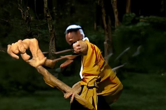 Kung fu martial arts