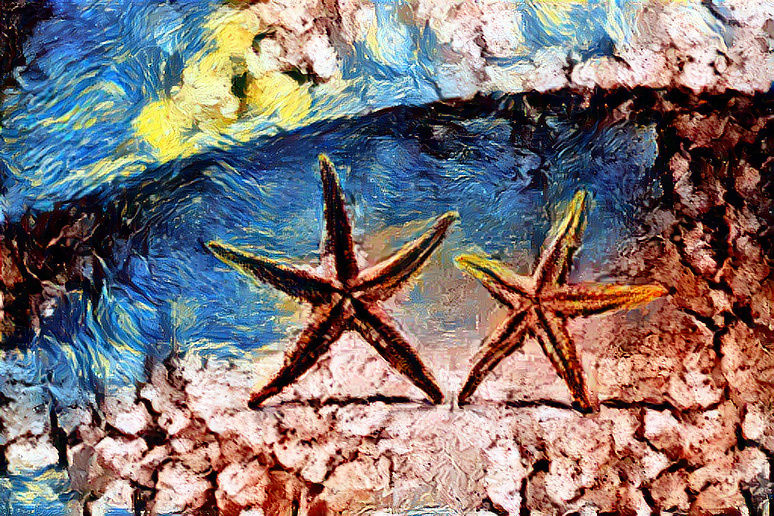 starfishfun