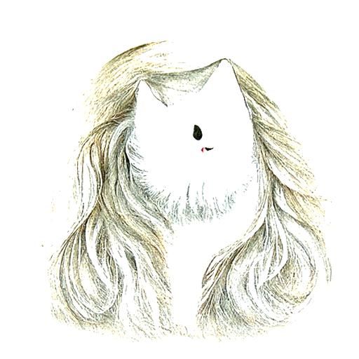 long-haired white cat portrait
