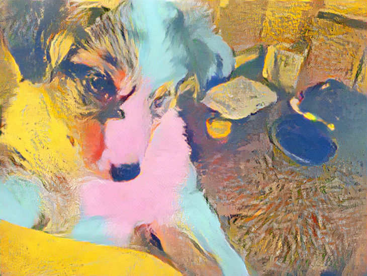 My new puppy Dakota and my first creation