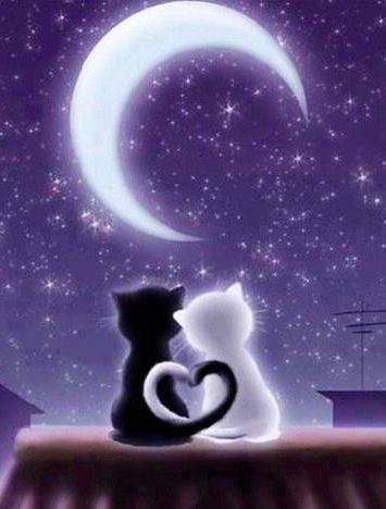 In the majestic night sky