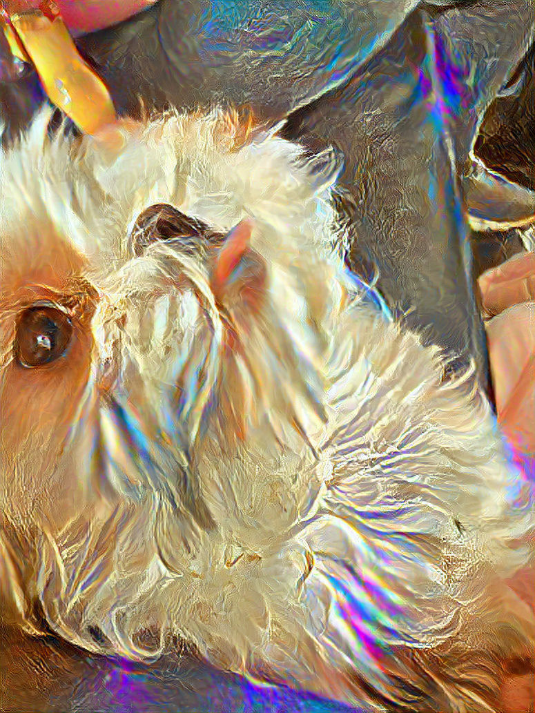 Little Lucy Angel