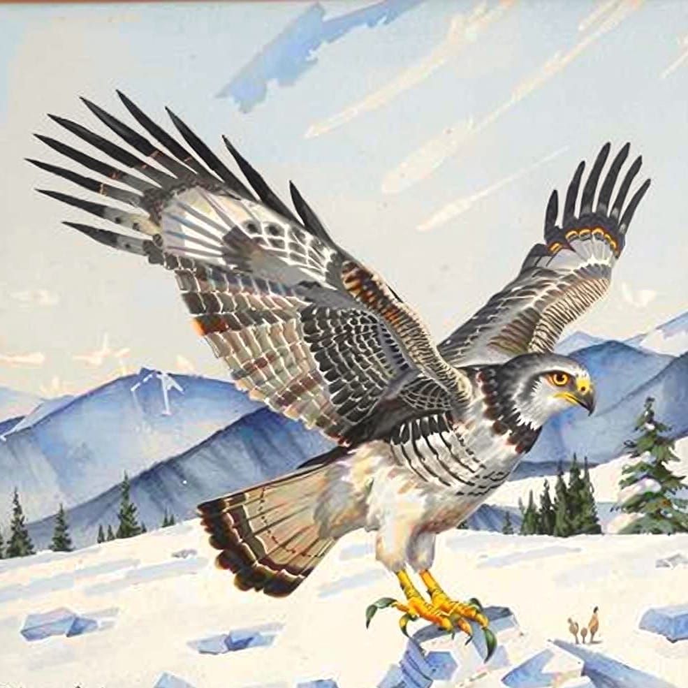 Northern Goshawk Landing in Winter Snow, Cézanne Style