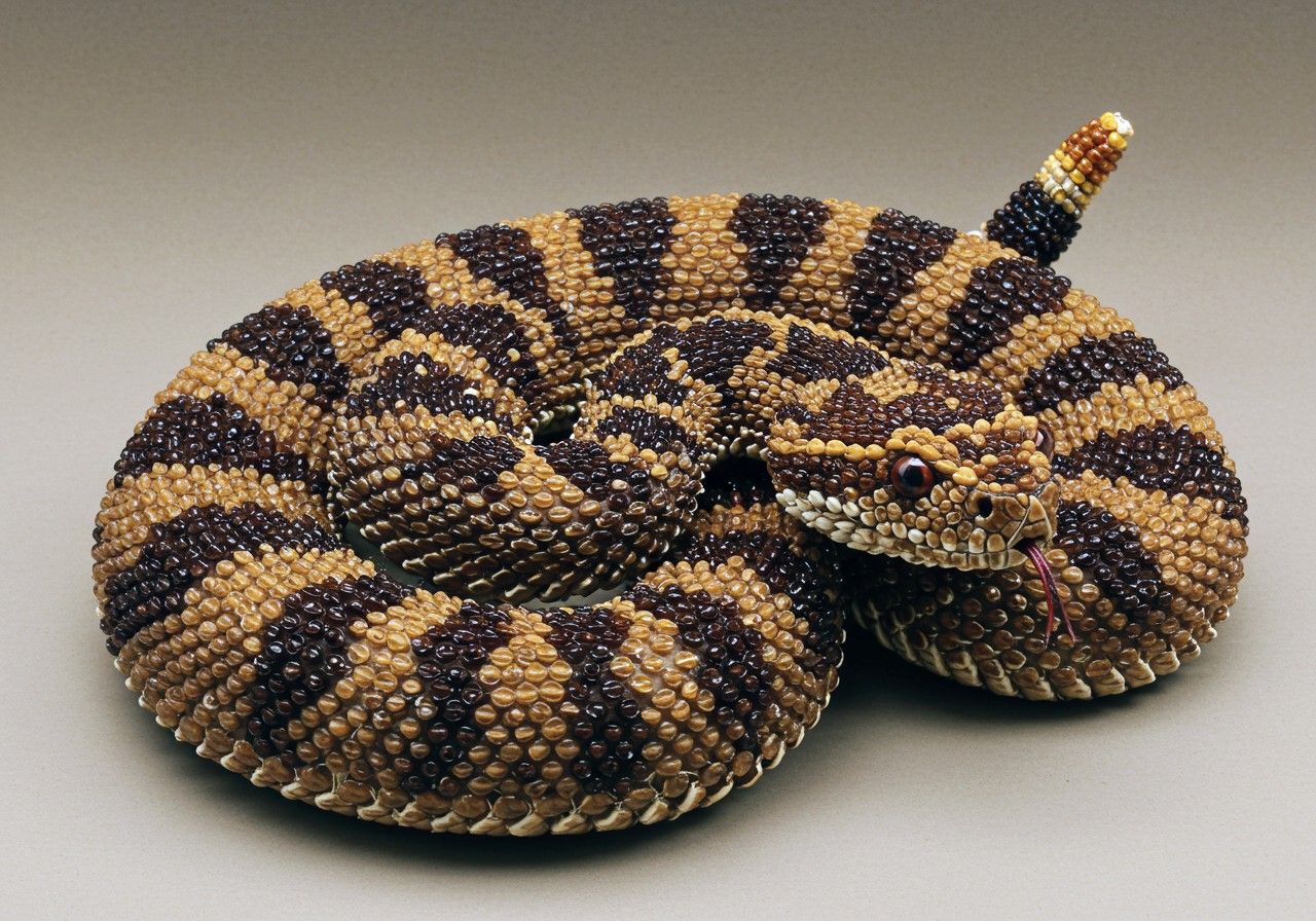 Beaded Rattlesnake