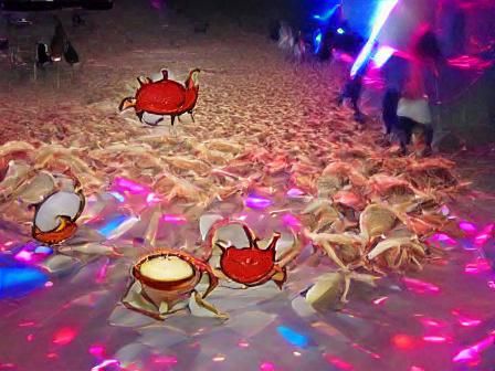 Crab rave