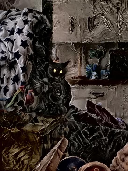 Spooky cat