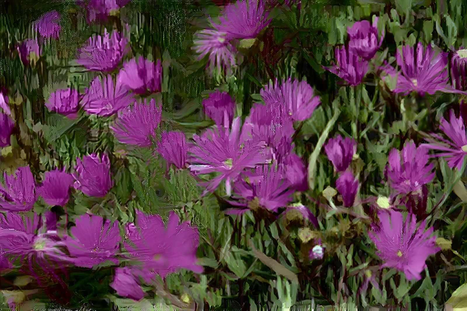 Flowers Of the Pacific Coast