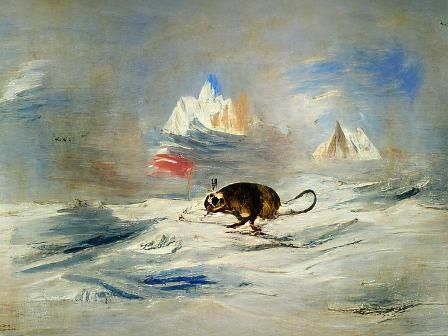 Mouse reaches the South Pole.