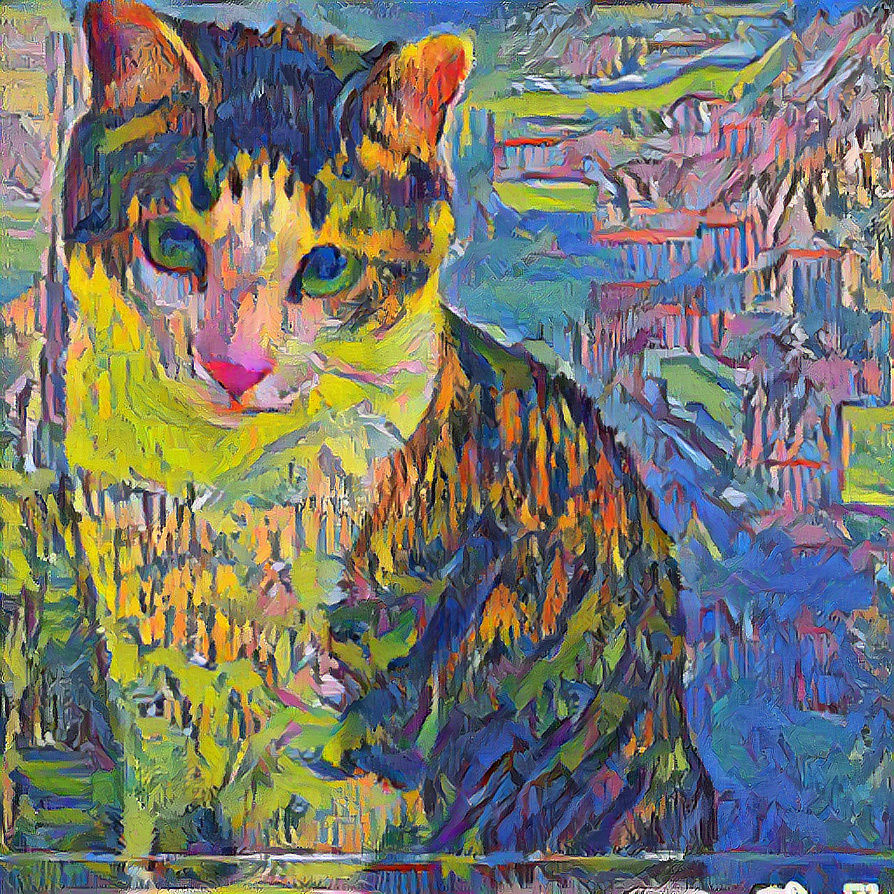the cat