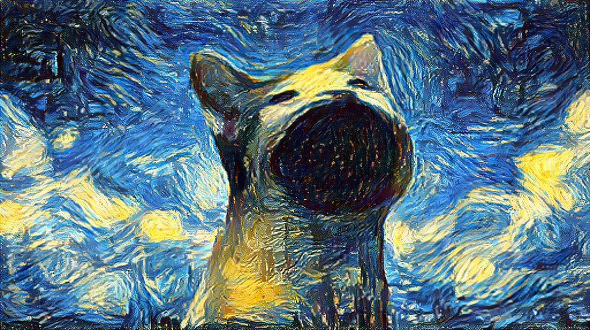 Starry Night Cat