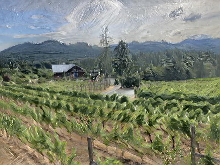 Vineyard