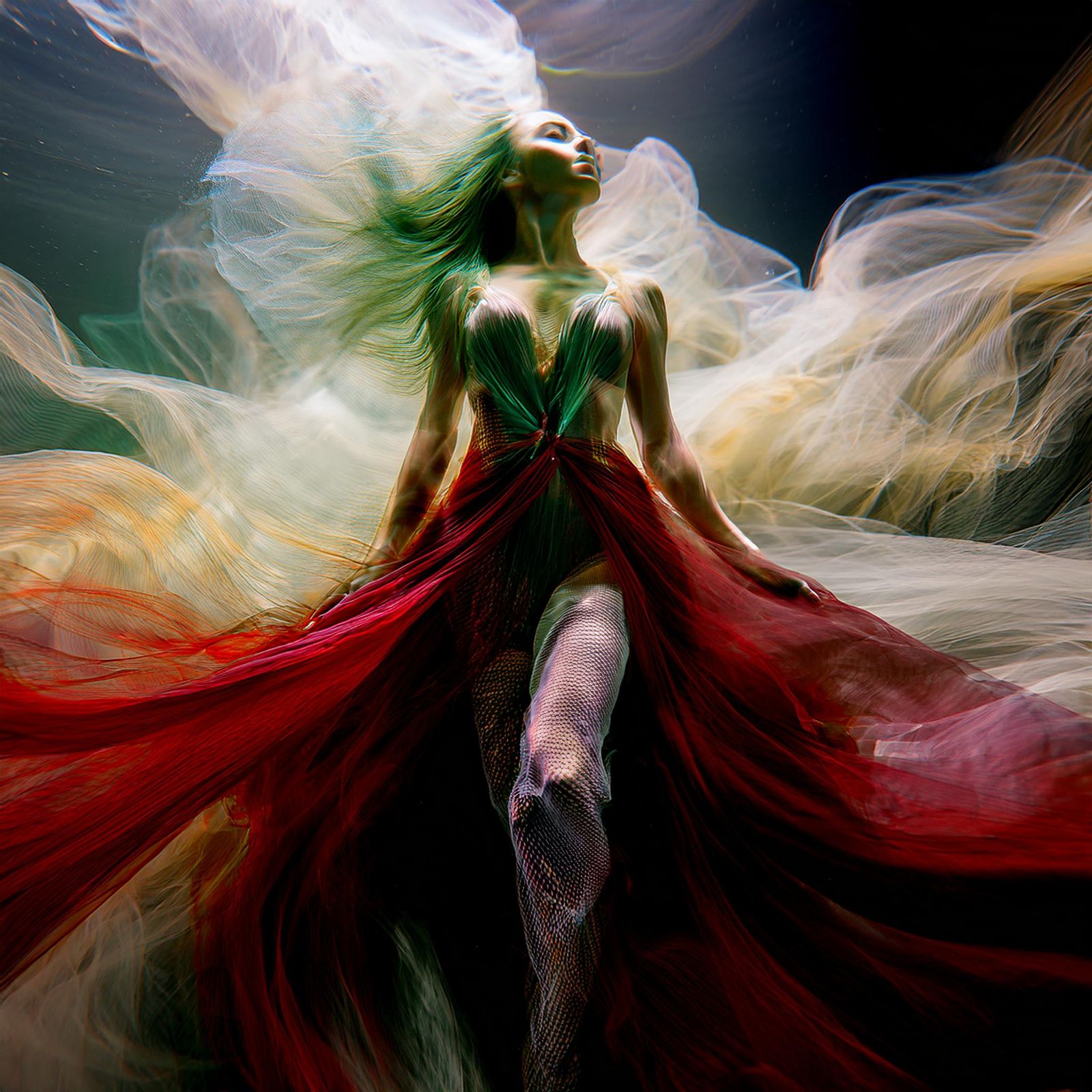 Brune aux longs cheveux