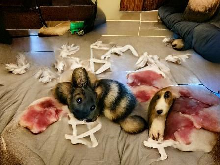 Guilty, or Innocent?