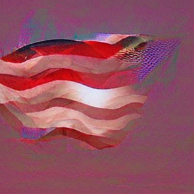 Flag of the USA