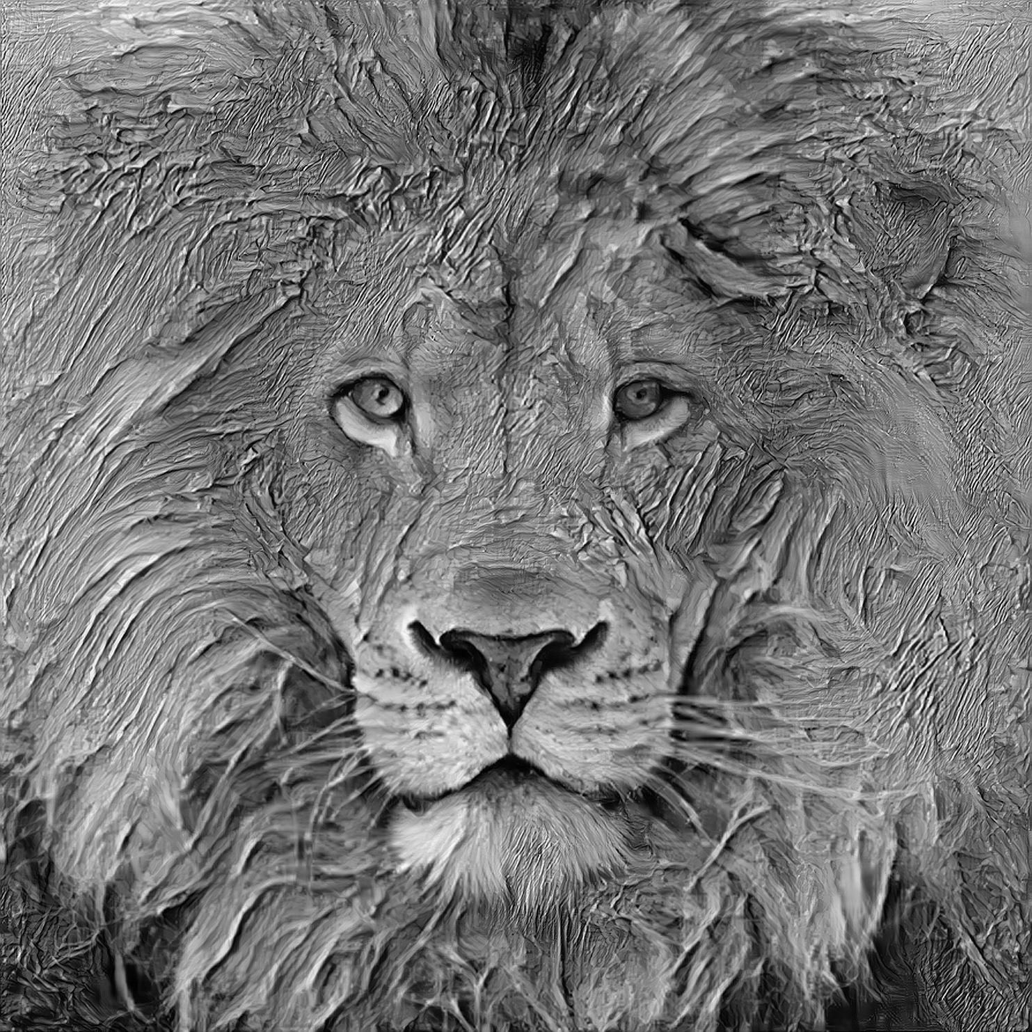 Lion portrait