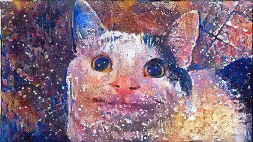 Scary Polite Cat