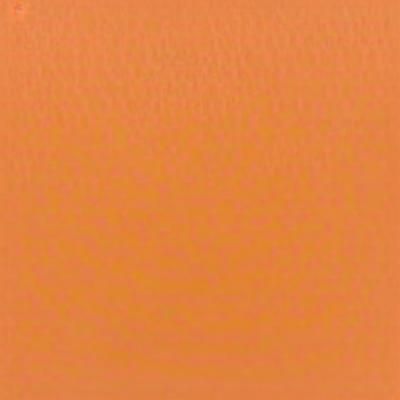 A colour that humans can’t see
