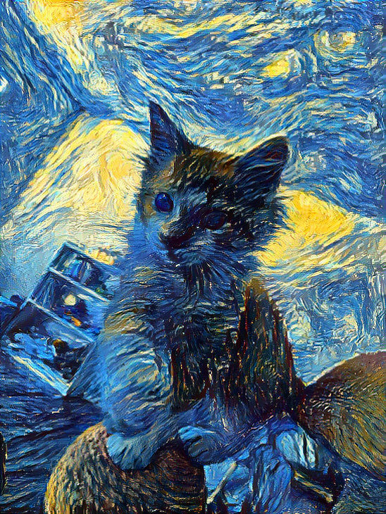 Starry Night Kitty offers you