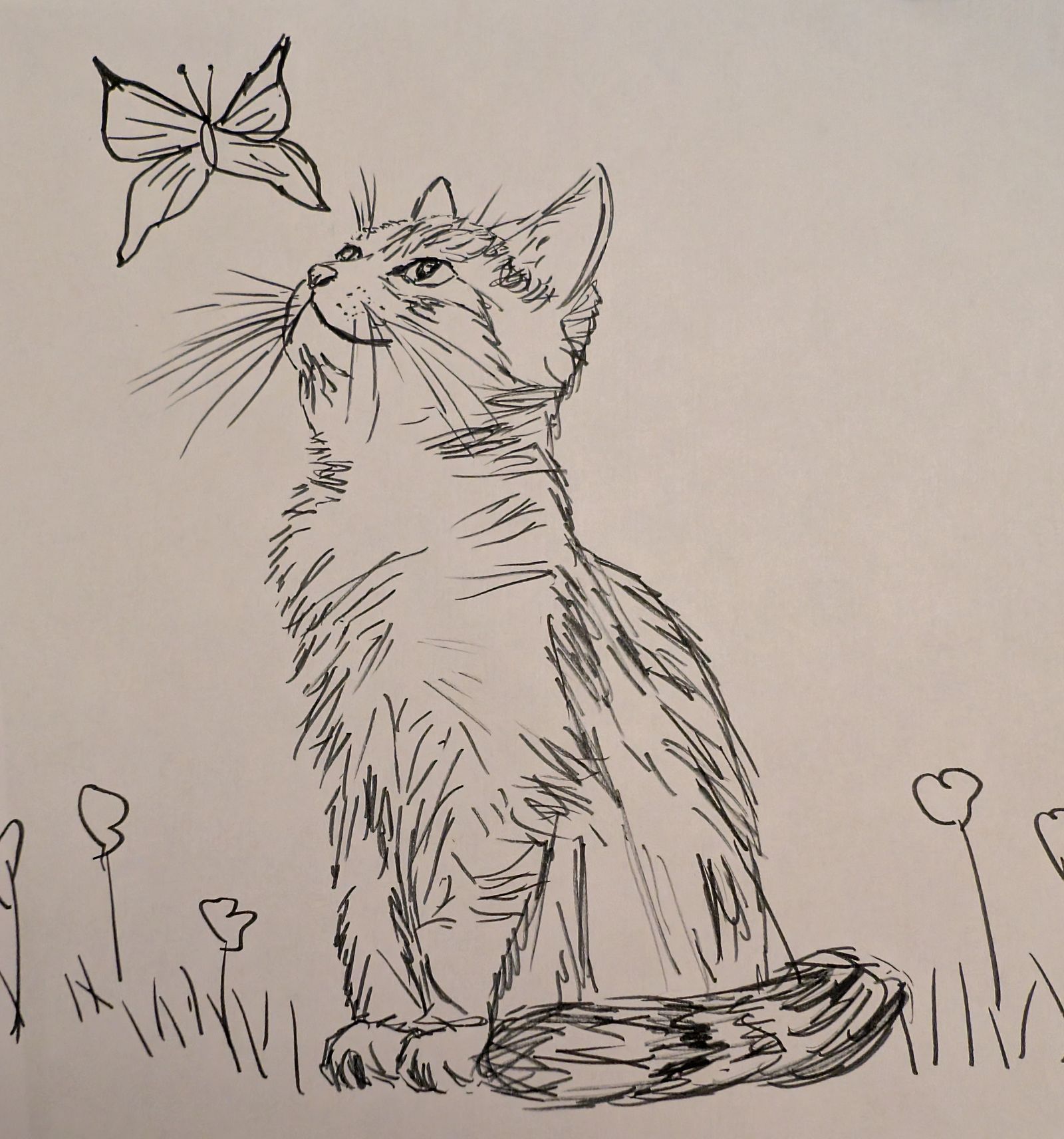 Cat and butterfly
