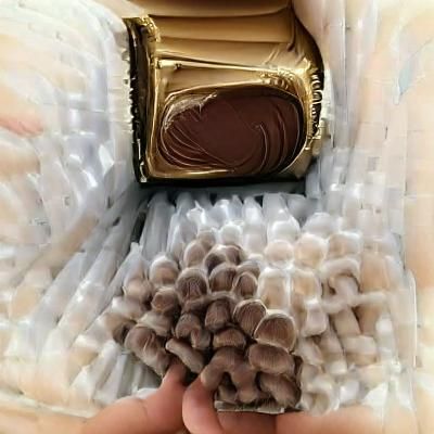 The most beautiful thing in this world
