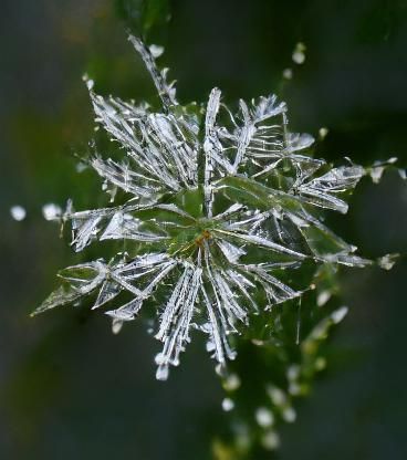 Snowflake