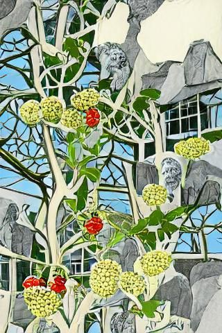 Rowan trees blooming with rowan berries in a botanical garde...