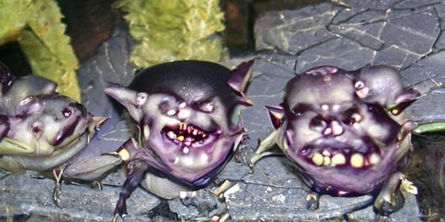 literal vampire potbelly goblins