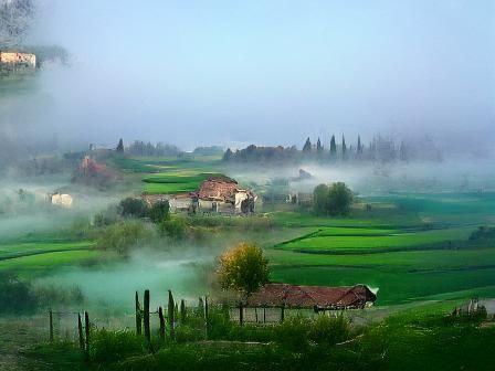 misty morning in the Italian countryside