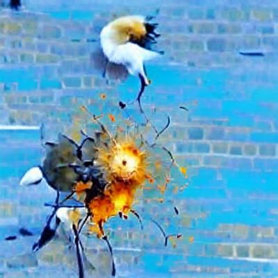donald trump joe biden gun explosion fight london boris john...