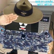 SQUADRON, ATTENTION! (DI Microwave)